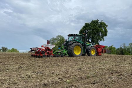 Strip-Till Saat Mais