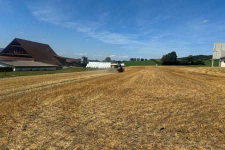 No-Till Direktsaat Gründüngung